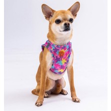 Pawstar Air-Mesh Rosea Camouflage Köpek Göğüs Tasması