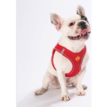 Pawstar Air-Mesh Kırmızı Köpek Göğüs Tasması XL Hafif ve Nefes Alabilen Tasarım