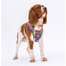 Pawstar Air-Mesh Puzzle Köpek Göğüs Tasması Yumuşak Dokulu Konforlu Kullanım için Dayanıklı