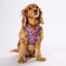 Pawstar Hearts Air-Mesh Göğüs Tasması Kedi Köpek Göğüs Tasması