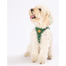 Pawstar Air-Mesh Pine Green Köpek Göğüs Tasması Hafif ve Nefes Alabilen Materyal ile Konforlu Kullanım