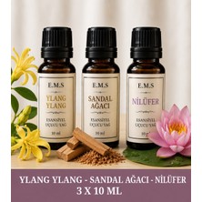 E.M.S Ylang Ylang - Sandal Ağacı - Nilüfer Esansiyel Uçucu Yağ Buhurdanlık Yağı Difüzör Esansı Oda Kokusu Mum Esansı.