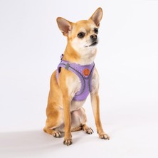 Pawstar Lila Air-Mesh Göğüs Tasması Hafif ve Nefes Alabilen 3XS Boyut Kedi Köpek İçin Konforlu Kullanım