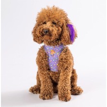 Pawstar Air-Mesh Ice Cream Köpek Göğüs Tasması