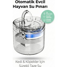 Empressco 4 Berry Filtreli Otomatik Evcil Hayvan Su Pınarı 2l Sessiz Pompa Kedi Köpek Su Sebili