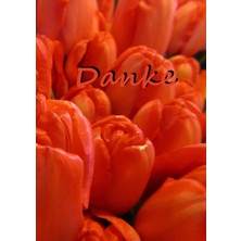 Renas Store Geschenkbuch - Danke: Als Notizbuch Oder Tagebuch Verwendbar, Dın A4, Liniert
