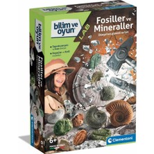 Renas Store Bilim ve Oyun Fosiller ve Mineraller Kazı Seti