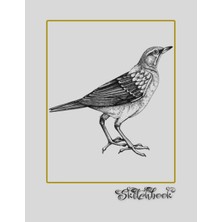 Renas Store Sketchbook: Bird Sketch, Large 8.5" x 11", 110 Pages, Perfect For Everyone, Crayons, Pencils, Drawing And Sketching