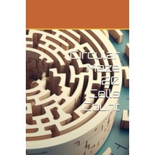Renas Store Independently Published Circular Maze 20 Cells Count