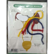 Renas Store Anadolu Boşaltım Sistemi Modeli Çok Renkli