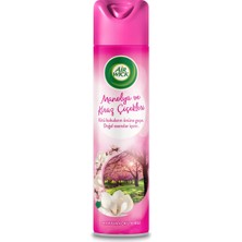 Renas Store Air Wick Aerosol Premium Koku Serisi Manolya & Kiraz Çiçekleri Sprey Oda Kokusu (1x 300 Ml)