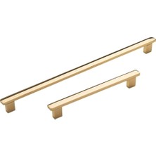 Renas Store System 9269 Modern Kulp Gold Renk 192 mm Çok Renkli