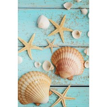 Renas Store Starfish & Seashells Journal