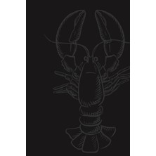 Renas Store Independently Published Daily Journal - Soft Cover - Lobster