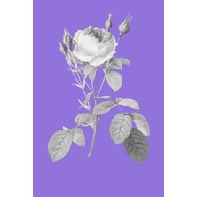 Renas Store Purple Rose Journal