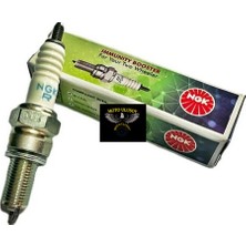 Moto Ulusoy Cf Moto Sr 250 Ateşleme Bujisi Ngk