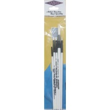 Renas Store 5'li Karışık Sentetik Akrilik Fırça Seti, Yağlı Boya Için, 2.5mm Genişlik, 15CM Sap Uzunluğu, 6 Parça, Standart Boy