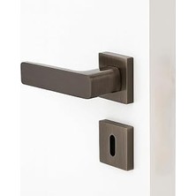 Renas Store Inox Titanyum Oda Tipi Kapı Kolu Rozetli Sağ Sol Uygun Modern Iç Oda Kapı Tutamağı 1 Takım