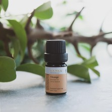 Renas Store Radika Aromaterapi Portakal Kabuğu Uçucu Yağı 5ml