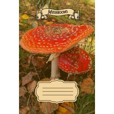Renas Store Independently Published Red Toadstool - Fly Agaric - Amanita Muscaria: Notebook With Lined Paper