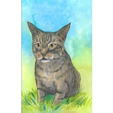 Renas Store Independently Published Journal: Journal With Brown Tabby Cat