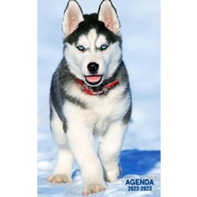 Renas Store Agenda 2022 2023: Organiseur Scolaire (Août 2022/ Juillet 2023) Pour Étudiants Collège, Lycée – Planificateur Journalier 1 Jour Par Page | Couverture Chien Husky (French Edition)
