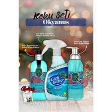 Renas Store Sıvı ve Köpük Sabun 500ML, Oda Kokusu 500ML Okyanus ve Rosie Pamuk