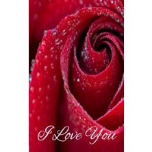 Renas Store I Love You: Affirmation Gift, Holiday Gift, Gift For Loved Ones Book