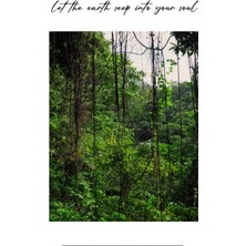Renas Store Independently Published Let The Earth Seep Into Your Soul: Nature Lover Journal