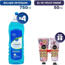 Renas Store Turmepa Bulaşık Deterjanı 750 ml x 4, El Kremleri Hediye