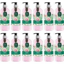 Renas Store Eyüp Sabri Tuncer Doğal Zeytinyağlı Sıvı Sabun Manolya Çiçeği 500 ml x 12 Adet