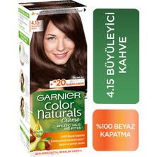 Renas Store Garnier Çarpıcı Renkler 4.15