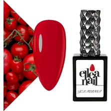 Renas Store Kalıcı Oje 15 ml 2501