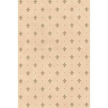 Renas Store Desenli Kendiliginden Yapışkanlı Kaplama Folyosu 45 cm x 5 mt ELF009