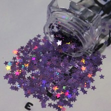 Renas Store Hb Tasarım Tırnak Süsleme Işığı Yansıtan Parıltılı Yıldız Desenli Pul Nail Art