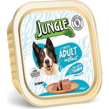Renas Store Jungle Püre Yetişkin Köpek Somonlu 100 G