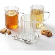 Renas Store Deconox 3'lü Borosilikat Cam Kupa Seti - 300 ml Isıya Dayanıklı Ince ve Hafif Çay/kahve Bardağı - Kurşunsuz Ekolojik (3 Adet)