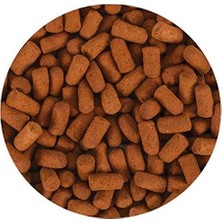 Renas Store Tropical Soft Line Monster Fish Kovadan Bölme 250GR