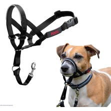 Renas Store Company Of Animals Halti Baş Tasması, Dolgulu Burun Bandı, Ayarlanabilir ve Yansıtıcı, Küçük Köpekler Için Profesyonel Çekme Önleyici Eğitim Yardımcısı (Boyut 0, Siyah)