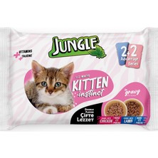 Renas Store Jungle 4 x 100 gr Çift Lezzet Pouch Yavru Kedi Tavuk-Kuzu
