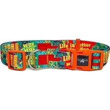 Renas Store Köpek Boyun Tasması – Geri Dönüştürülmüş, Ayarlanabilir, Emniyet Tokalı – Küçük ve Büyük Irklar Için – Tüy Toplamaz, Yıkanabilir, Airtag & Isimlik Uyumlu, Yeşil,small