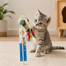 Renas Store Tatucha Doğal Ahşap Saplı Interaktif Kedi Oyun Oltası, Renkli Tüylü ve Çıngıraklı, Çok Renkli