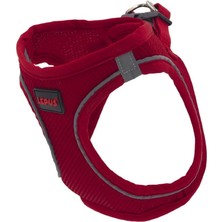 Renas Store Lepus Pet Air Mesh Kırmızı Göğüs Tasması Small