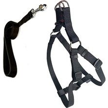 Renas Store Cecepet Cool Walk Harness Siyah Köpek Göğüs Tasması L