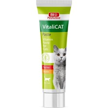 Renas Store Bio Petactive Vitalicat Kediler Için Vitamin, Macun (Paste), 100 ml