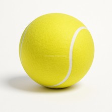 Renas Store Busstier Dev Tenis Topu 14 cm Köpek Oyuncağı, Büyük Irklar Için, Dayanıklı, Eğitim Amaçlı, Parlak Renkli, Diş Dostu Malzeme, Dış Mekan Kullanıma Uygun