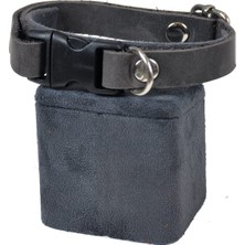 Renas Store X-Perk Köpek Boyun Tasması, Deri, Tokalı, Tasma Ayarlanabilir, 1 cm x 33 Cm, Tüm Çeşitler