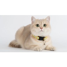 Renas Store Tatucha Galaxy Harmony Kedi Boyun Tasması, Özel Koleksiyon, Sarı