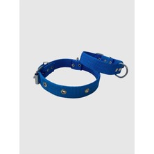 Renas Store Küçük Boy Yavru Köpekler Için Tasma Mavi 40"