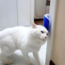 Renas Store Kedi Kaşınma ve Taranma Aparatı Duvara Monte Edilebilir Kedi Kaşınma